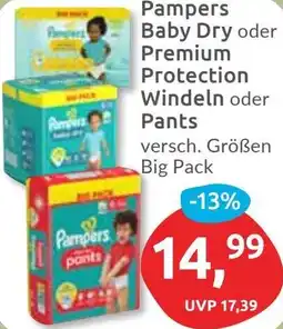 Budni Pampers Baby Dry oder Premium Protection Windeln oder Pants Angebot