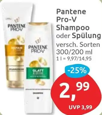 Budni Pantene Pro-V Shampoo oder Spülung Angebot