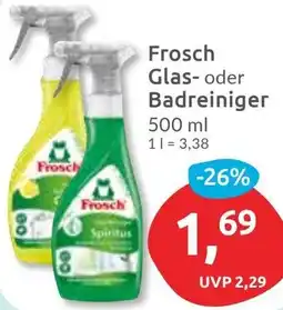 Budni Frosch Glas- oder Badreiniger Angebot