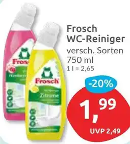 Budni Frosch WC-Reiniger Angebot