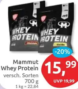 Budni Mammut Whey Protein Angebot
