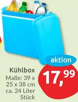 Budni Kühlbox Angebot