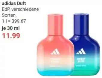 Globus adidas Duft EdP Angebot