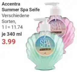 Globus Accentra Summer Spa Seife Angebot