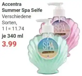 Globus Accentra Summer Spa Seife Angebot