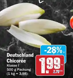 AEZ Deutschland Chicorée Angebot