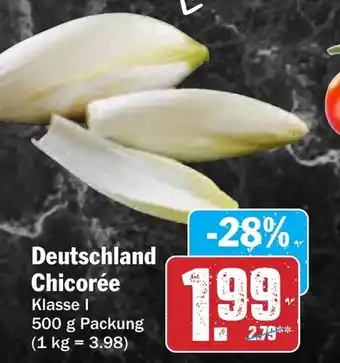 AEZ Deutschland Chicorée Angebot
