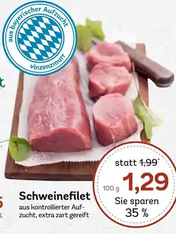 AEZ Schweinefilet Angebot
