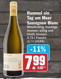 AEZ Hammel ein Tag am Meer Sauvignon Blanc Angebot