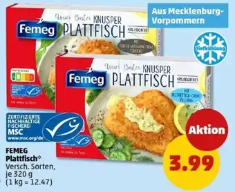 PENNY FEMEG Plattfisch Angebot