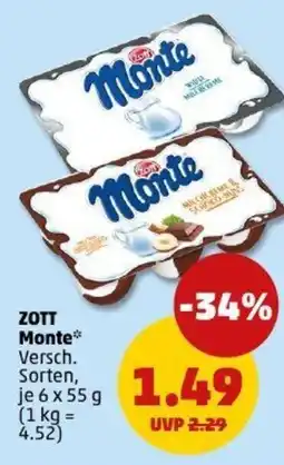 PENNY ZOTT Monte Angebot