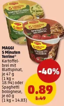 PENNY MAGGI 5 Minuten Terrine Angebot