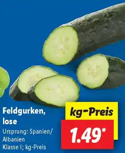 Lidl Feldgurken, lose Angebot