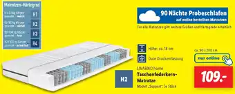 Lidl LIVARNO home Taschenfederkern Matratze Angebot