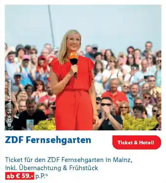 Lidl ZDF Fernsehgarten Angebot