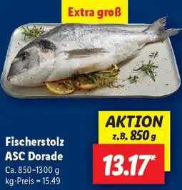 Lidl Fischerstolz ASC Dorade Angebot
