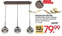 Zurbrüggen Hängeleuchte ROLAND Angebot