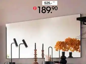 Zurbrüggen XL-Spiegel Angebot