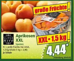Norma Aprikosen XXL Angebot