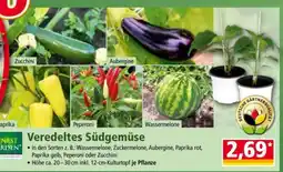 Norma Veredeltes Südgemüse Angebot