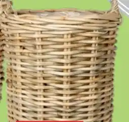 Thomas Philipps XXL-Rattankorb Saint Tropez Angebot