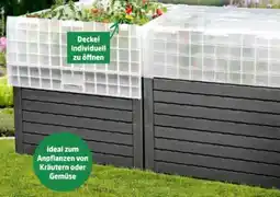 Thomas Philipps Gewächshauswanne XXL Angebot