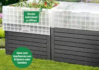 Thomas Philipps Gewächshauswanne XXL Angebot