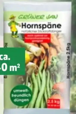 Thomas Philipps Grüner Jan Hornspäne Angebot