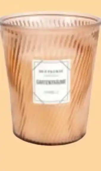 Thomas Philipps Citronella-Kerzen Angebot