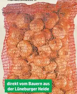 Thomas Philipps Speisezwiebeln XXL Angebot