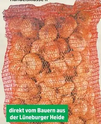 Thomas Philipps Speisezwiebeln XXL Angebot