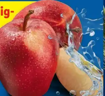 Lidl Rote Äpfel Angebot