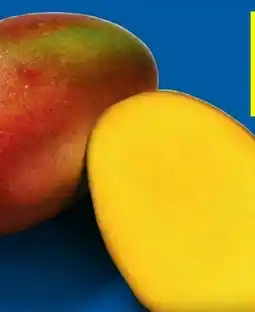 Lidl Mango Angebot