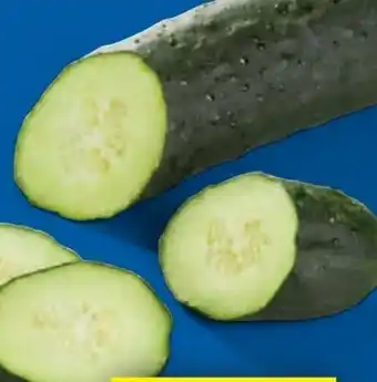 Lidl Feldgurken Angebot