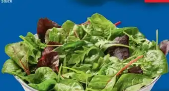 Lidl Mix-Salate Angebot