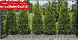 Hagebau Doppelstabmatte Angebot