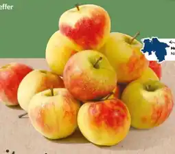 NETTO Go Regio Äpfel Elstar Angebot