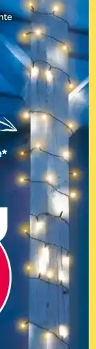 NETTO Garden Dream Solar Lichterkette Angebot