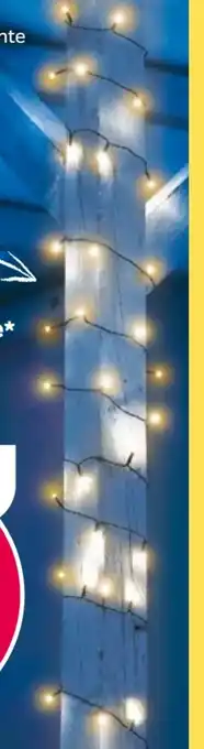 NETTO Garden Dream Solar Lichterkette Angebot