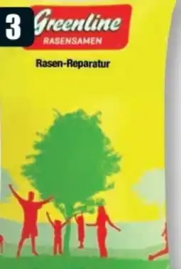B1 Discount Baumarkt Greenline Rasensamen Rasenreparatur-Set Angebot