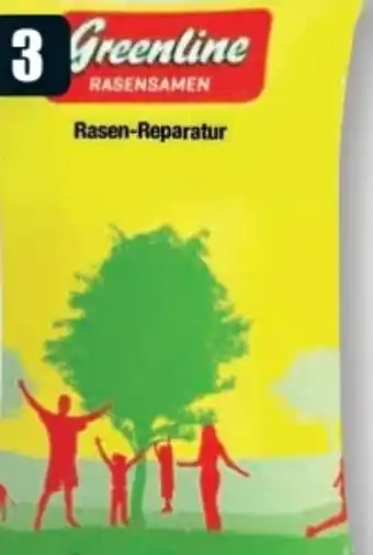 B1 Discount Baumarkt Greenline Rasensamen Rasenreparatur-Set Angebot