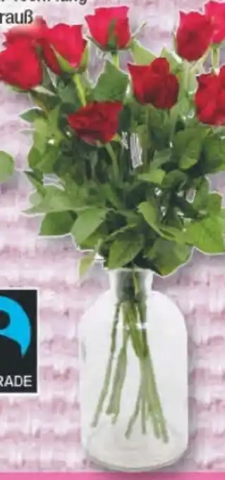 Edeka Lieblingsblume Edelrosen Angebot