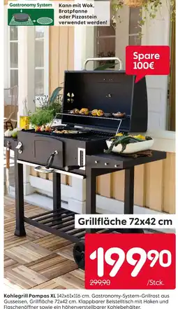Rusta Kohlegrill pampas xl Angebot
