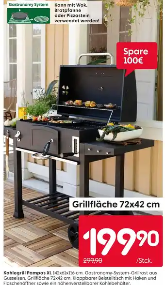 Rusta Kohlegrill pampas xl Angebot