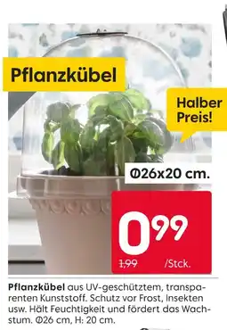 Rusta Pflanzkübel Angebot