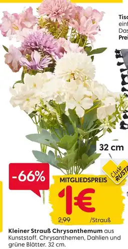 Rusta Kleiner strauß chrysanthemum Angebot