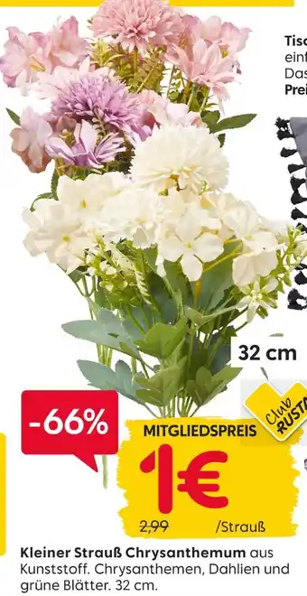 Rusta Kleiner strauß chrysanthemum Angebot