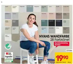 Rusta Wandfarbe Angebot