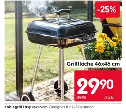 Rusta Kohlegrill easy Angebot