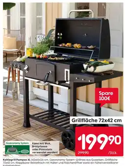 Rusta Kohlegrill pampas xl Angebot